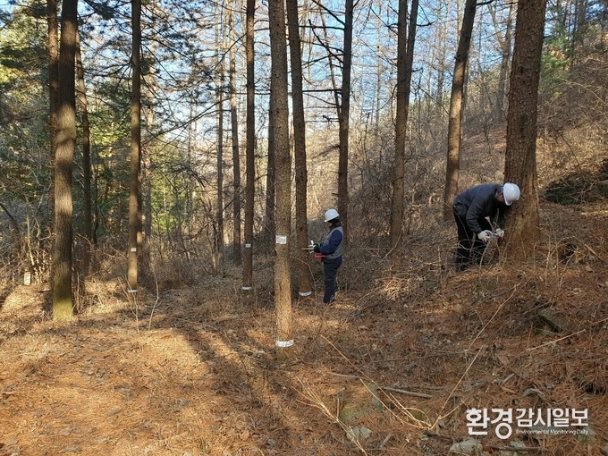 소나무재선충병 방재사업중 예방주사 (사진제공=경기도)