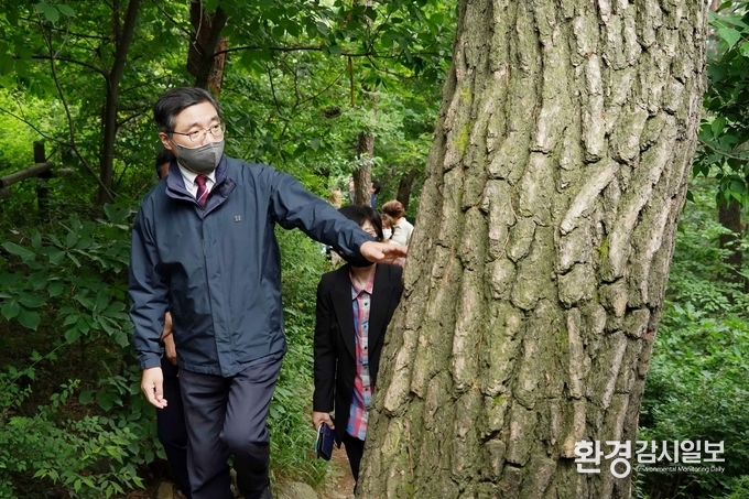 최병암 산림청장이 서울 남산 소나무 군락지를 방문해 생육상황을 살펴보고 있다. (사진제공=산림청)