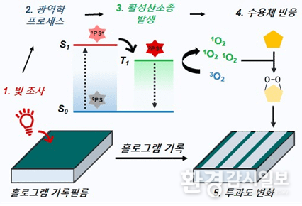 광역학 메카니즘 기반 홀로그램 기록용 조성물 개발. 특정 파장의 빛에 의해 광민감제가 들뜬 상태로 되고 이 에너지를 반응성이 없는 삼중항 상태의 산소에 전달하여 반응성이 매우 큰 단일한 상태의 산소를 생성하게 되고 이 화학종이 주변 수용체의 구조를 변화시켜 홀로그램을 기록할 수 있게 해 준다. (자료=화학연)© 제공: 지디넷코리아
