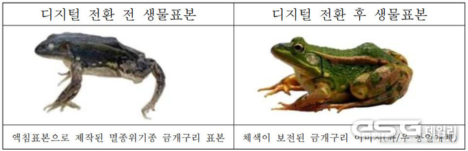 생물표본의 디지털 전환