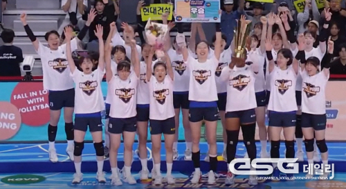 프로배구 V리그 챔피언 현대건설이 컵대회 여자부 결승에서 정관장을 꺾고 3년 만에 우승을 차지했다
